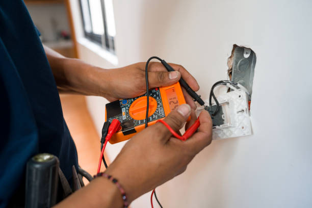 Best Electrician for Home Renovation  in Muskegon, MI