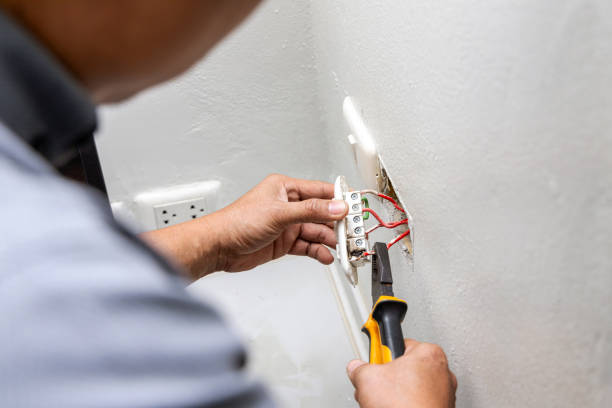 Best Electrical System Inspection  in Muskegon, MI