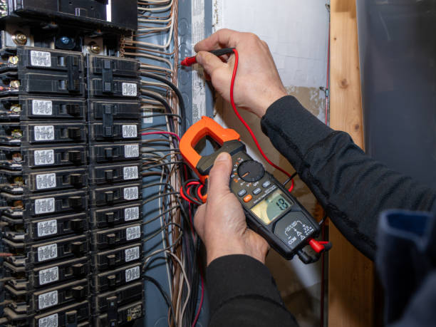 Best Home Electrical Repair  in Muskegon, MI