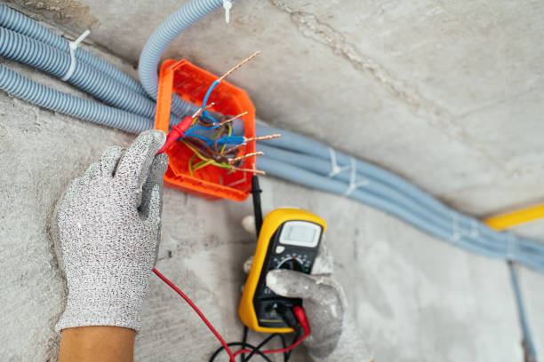 Best Electrician Near Me  in Muskegon, MI